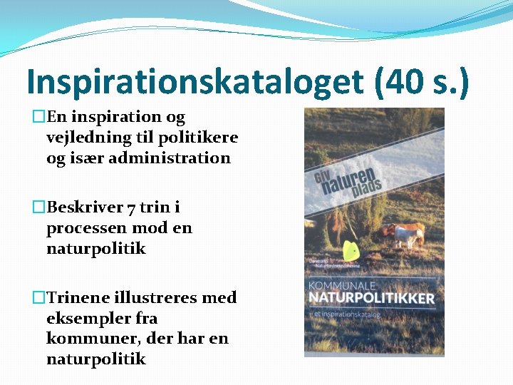 Inspirationskataloget (40 s. ) �En inspiration og vejledning til politikere og især administration �Beskriver