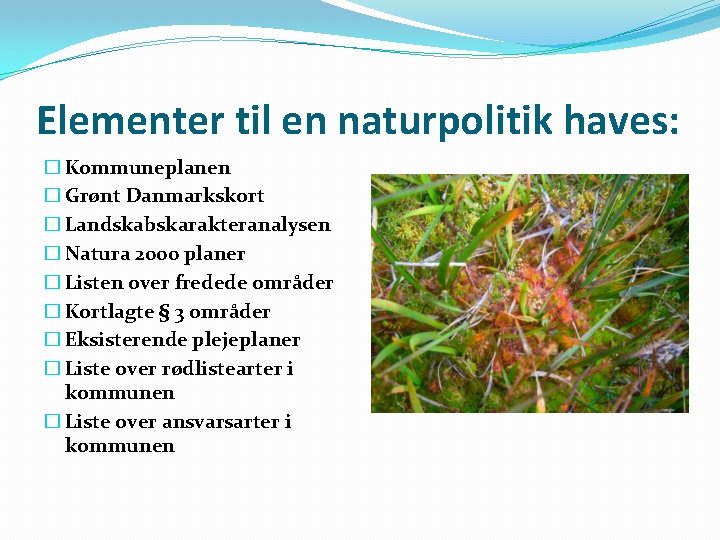 Elementer til en naturpolitik haves: � Kommuneplanen � Grønt Danmarkskort � Landskabskarakteranalysen � Natura