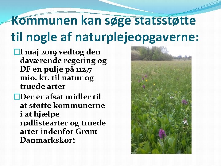 Kommunen kan søge statsstøtte til nogle af naturplejeopgaverne: �I maj 2019 vedtog den daværende