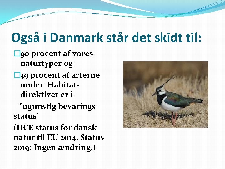 Også i Danmark står det skidt til: � 90 procent af vores naturtyper og