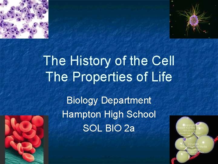 The History of the Cell The Properties of Life Biology Department Hampton High School