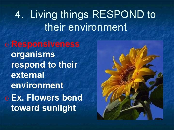 4. Living things RESPOND to their environment Responsiveness organisms respond to their external environment