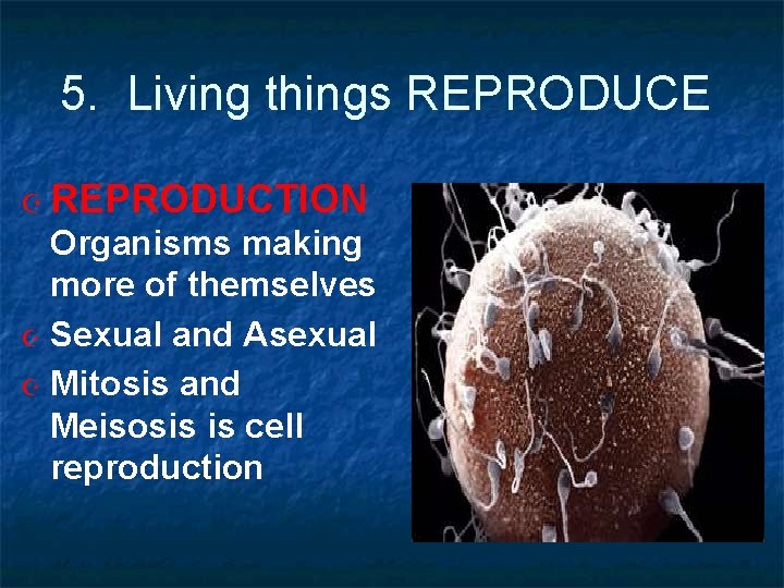 5. Living things REPRODUCE REPRODUCTION Organisms making more of themselves Sexual and Asexual Mitosis