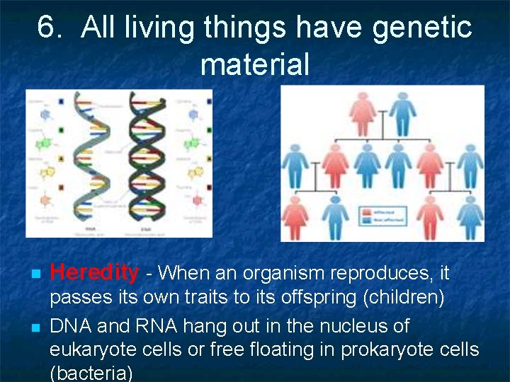 6. All living things have genetic material n n Heredity - When an organism