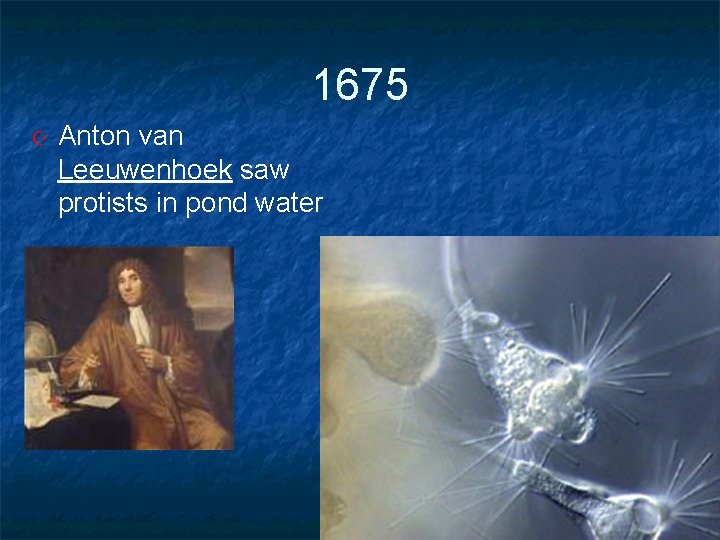 1675 Anton van Leeuwenhoek saw protists in pond water 