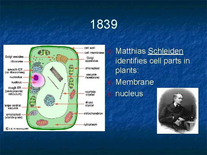 1839 Matthias Schleidentifies cell parts in plants: Membrane nucleus 