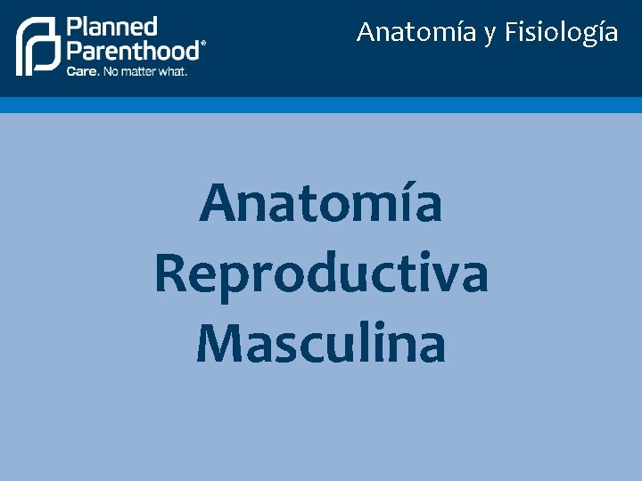 Anatomía y Fisiología Anatomía Reproductiva Masculina 
