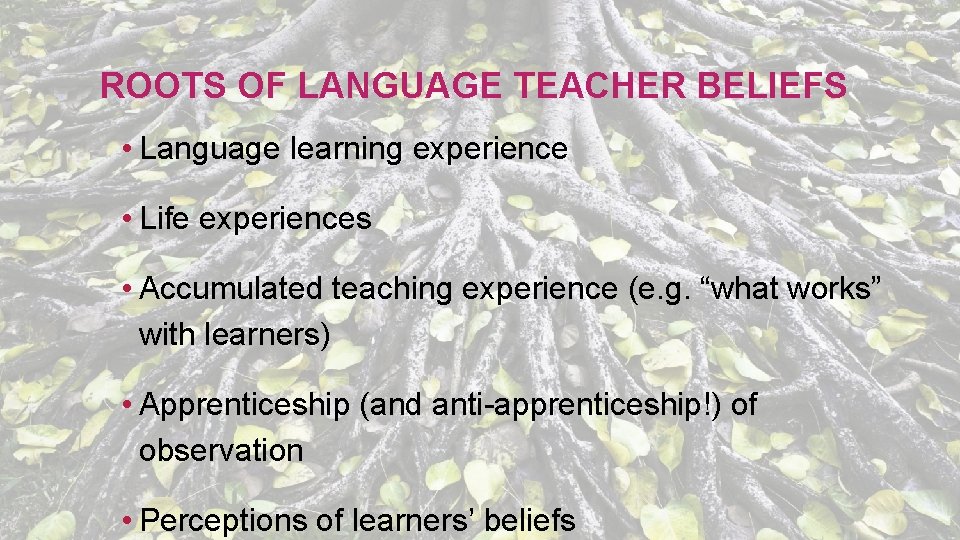 ROOTS OF LANGUAGE TEACHER BELIEFS • Language learning experience • Life experiences • Accumulated