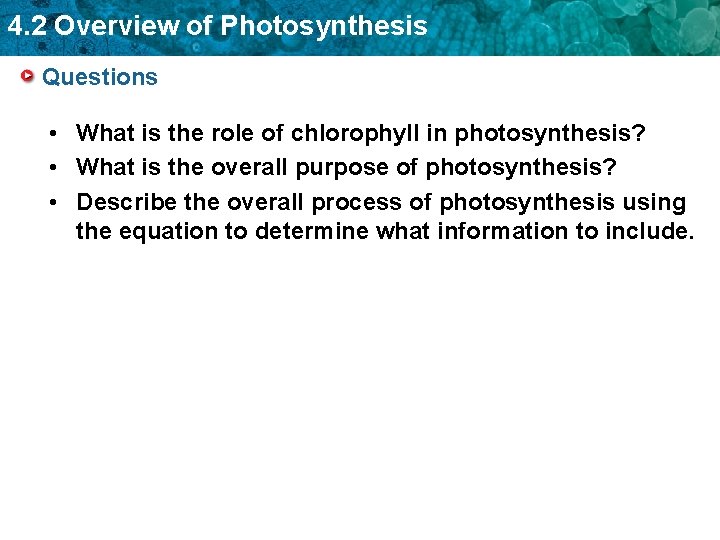 4. 2 Overview of Photosynthesis Questions • What is the role of chlorophyll in