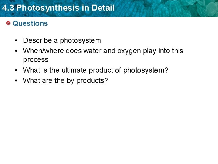 4. 3 Photosynthesis in Detail Questions • Describe a photosystem • When/where does water