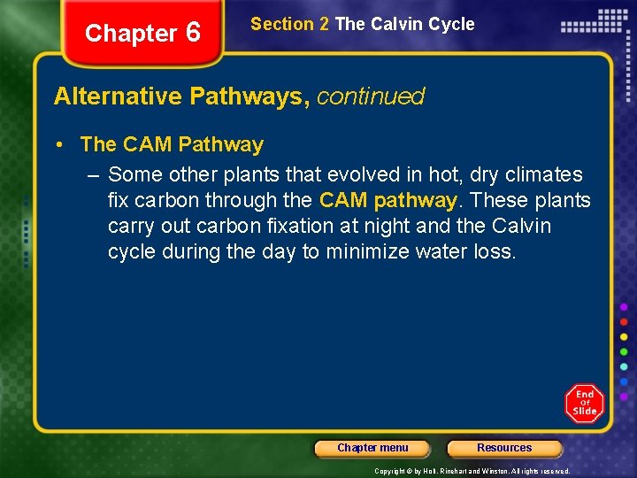 Chapter 6 Section 2 The Calvin Cycle Alternative Pathways, continued • The CAM Pathway