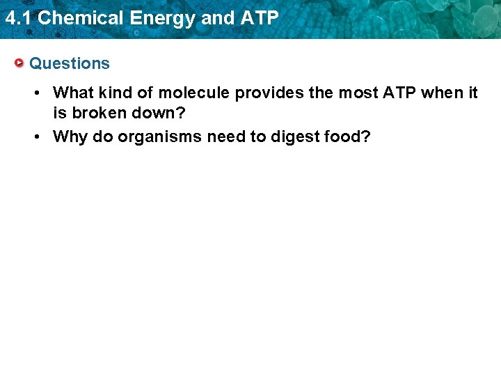 4. 1 Chemical Energy and ATP Questions • What kind of molecule provides the