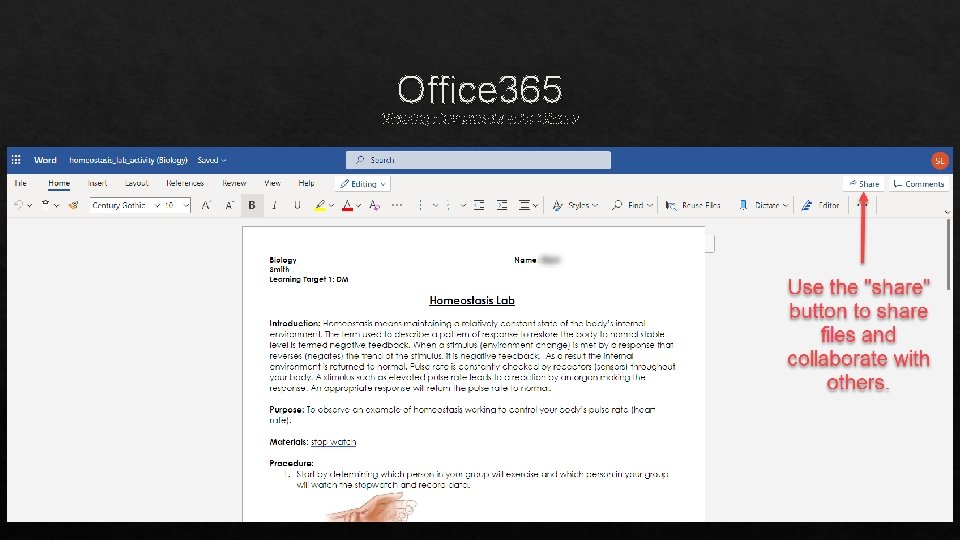 Office 365 Sharing Documents with Others 