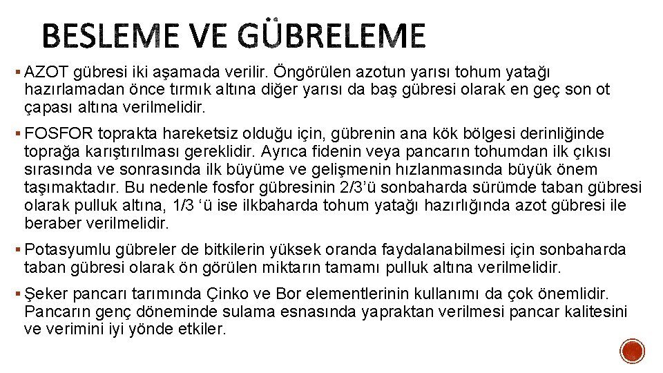 § AZOT gübresi iki aşamada verilir. Öngörülen azotun yarısı tohum yatağı hazırlamadan önce tırmık