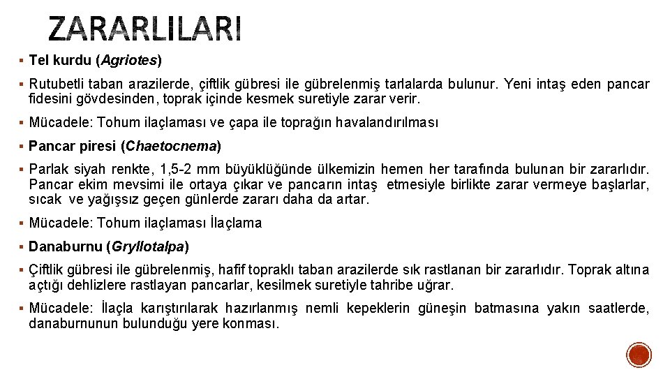 § Tel kurdu (Agriotes) § Rutubetli taban arazilerde, çiftlik gübresi ile gübrelenmiş tarlalarda bulunur.