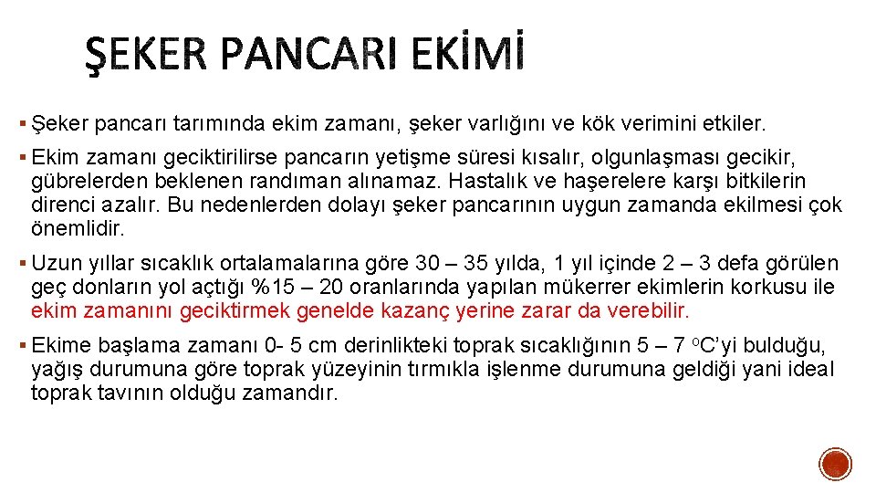 § Şeker pancarı tarımında ekim zamanı, şeker varlığını ve kök verimini etkiler. § Ekim