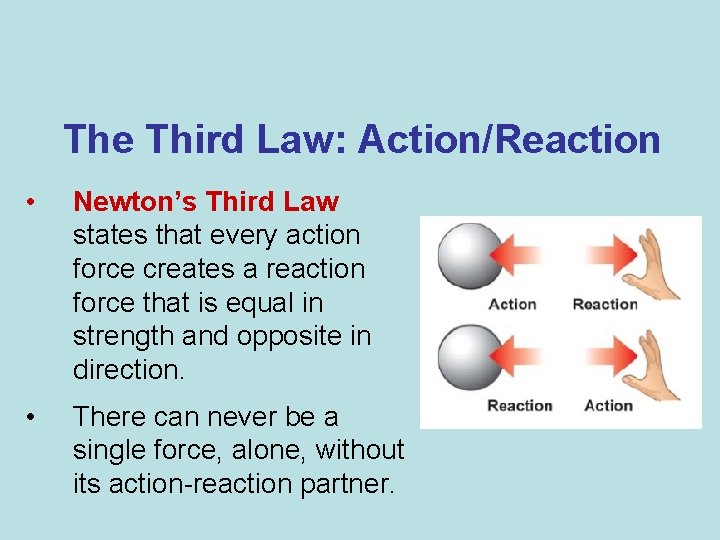 The Third Law: Action/Reaction • Newton’s Third Law states that every action force creates