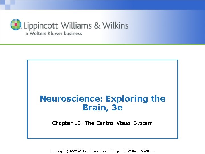 Neuroscience: Exploring the Brain, 3 e Chapter 10: The Central Visual System Copyright ©
