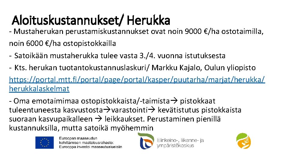 Aloituskustannukset/ Herukka - Mustaherukan perustamiskustannukset ovat noin 9000 €/ha ostotaimilla, noin 6000 €/ha ostopistokkailla