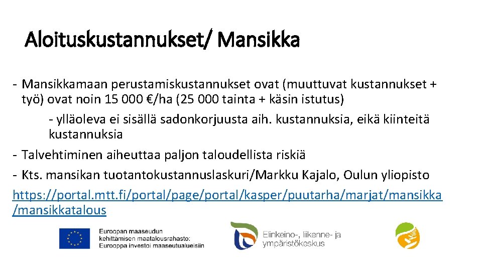 Aloituskustannukset/ Mansikka - Mansikkamaan perustamiskustannukset ovat (muuttuvat kustannukset + työ) ovat noin 15 000