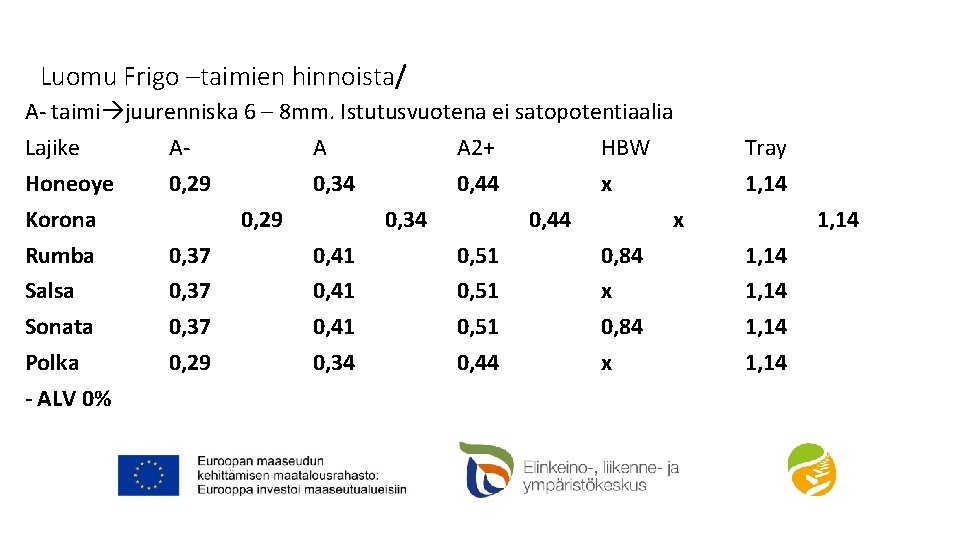 Luomu Frigo –taimien hinnoista/ A- taimi juurenniska 6 – 8 mm. Istutusvuotena ei satopotentiaalia