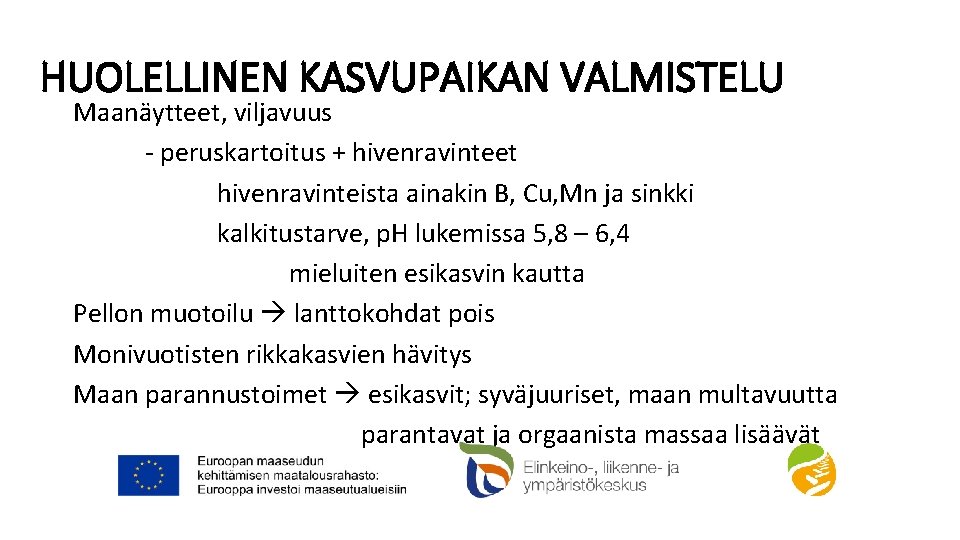 HUOLELLINEN KASVUPAIKAN VALMISTELU Maanäytteet, viljavuus - peruskartoitus + hivenravinteet hivenravinteista ainakin B, Cu, Mn