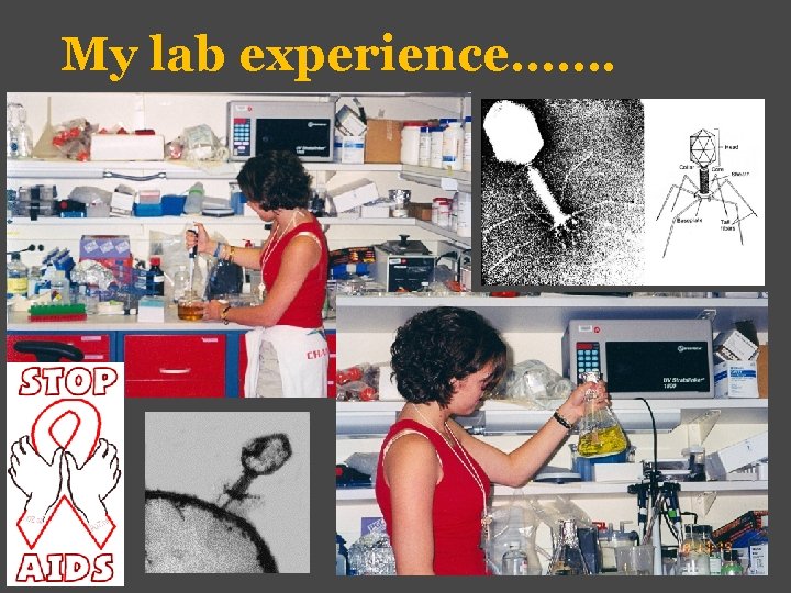 My lab experience……. 