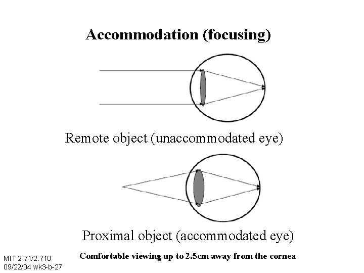 Accommodation (focusing) Remote object (unaccommodated eye) Proximal object (accommodated eye) MIT 2. 71/2. 710