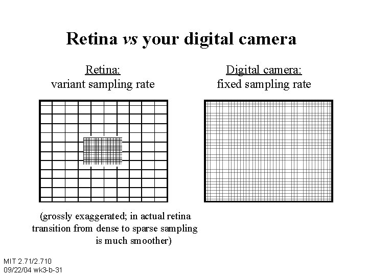Retina vs your digital camera Retina: variant sampling rate (grossly exaggerated; in actual retina