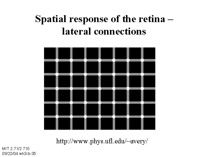 Spatial response of the retina – lateral connections http: //www. phys. ufl. edu/~avery/ MIT
