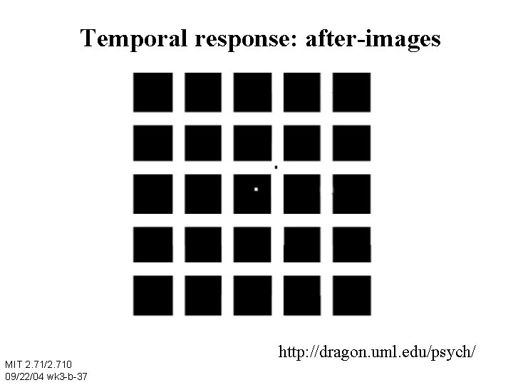 Temporal response: after-images MIT 2. 71/2. 710 09/22/04 wk 3 -b-37 http: //dragon. uml.