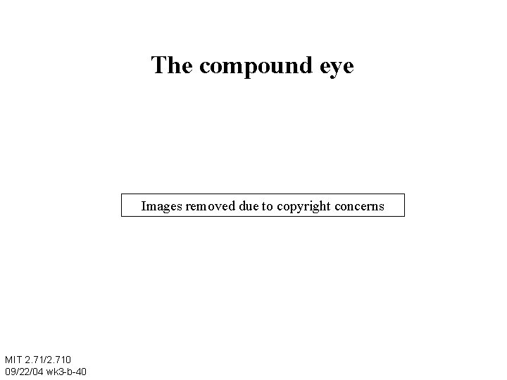 The compound eye Images removed due to copyright concerns MIT 2. 71/2. 710 09/22/04