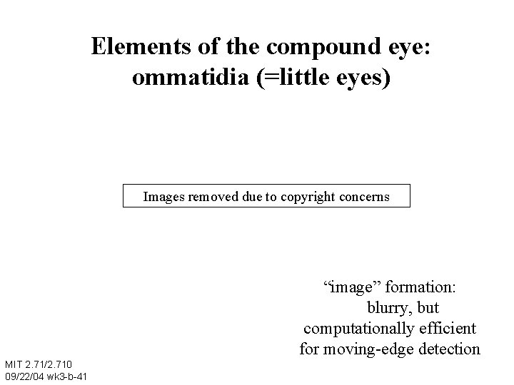 Elements of the compound eye: ommatidia (=little eyes) Images removed due to copyright concerns