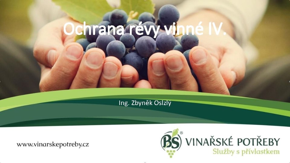 Ochrana révy vinné IV. Ing. Zbyněk Oslzlý 