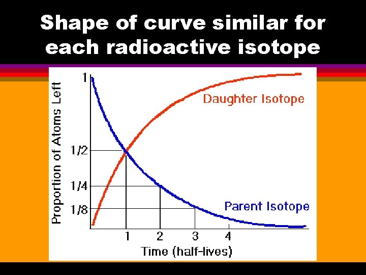 Shape of curve similar for each radioactive isotope 