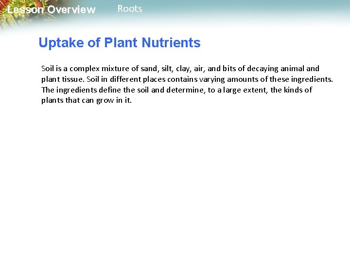 Lesson Overview Roots Uptake of Plant Nutrients Soil is a complex mixture of sand,