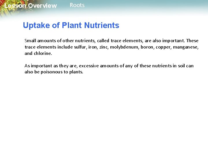 Lesson Overview Roots Uptake of Plant Nutrients Small amounts of other nutrients, called trace