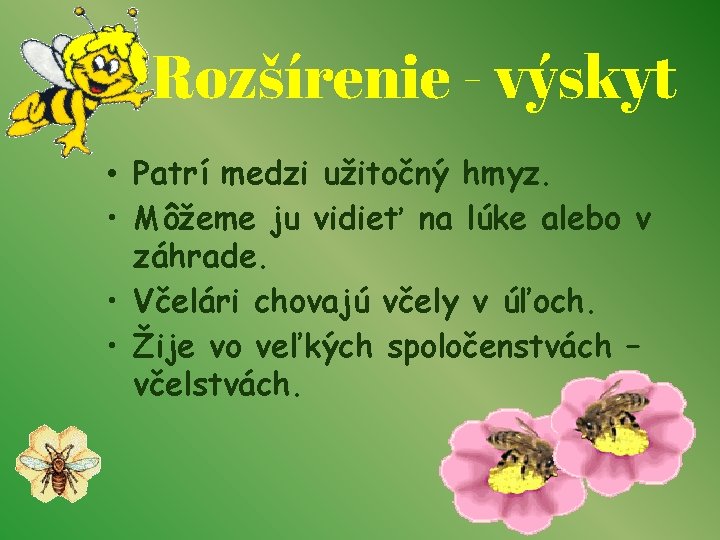 Rozšírenie - výskyt • Patrí medzi užitočný hmyz. • Môžeme ju vidieť na lúke