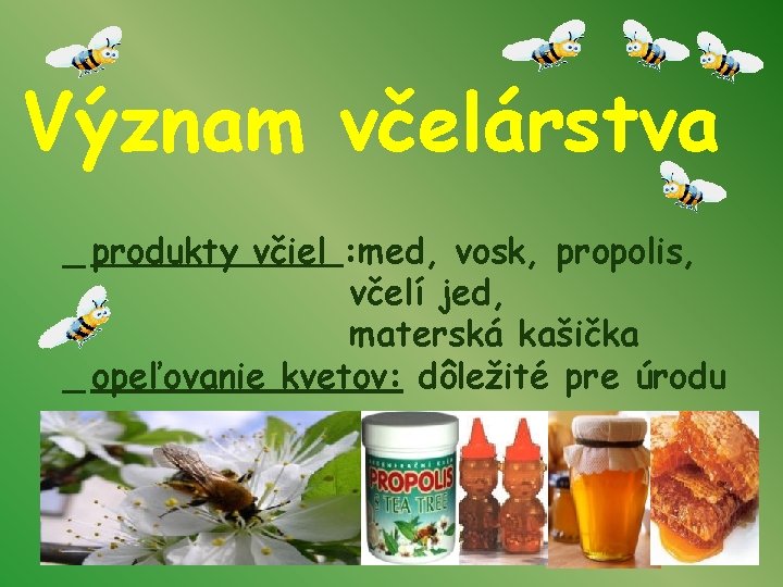 Význam včelárstva _ produkty včiel : med, vosk, propolis, včelí jed, materská kašička _