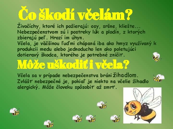 Čo škodí včelám? Živočíchy, ktoré ich požierajú: osy, sršne, kliešte. . . Nebezpečenstvom sú