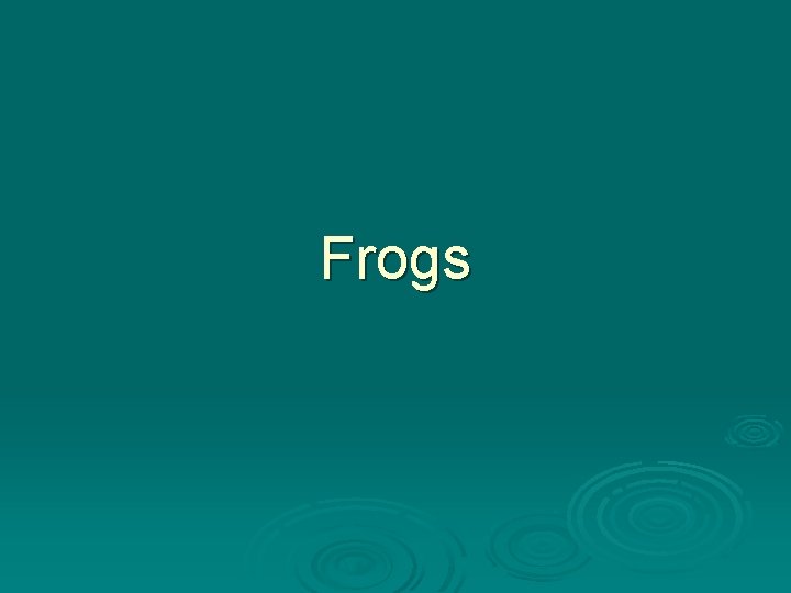 Frogs 