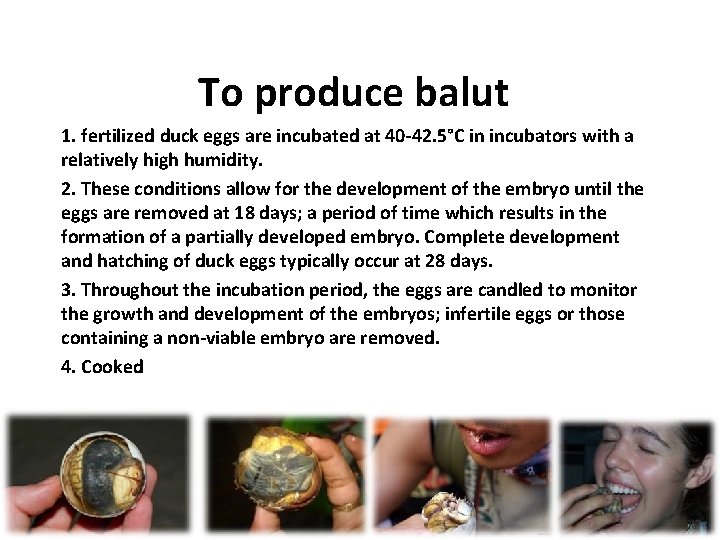To produce balut 1. fertilized duck eggs are incubated at 40 -42. 5°C in