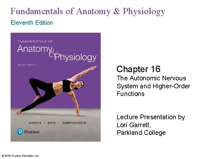 Fundamentals of Anatomy & Physiology Eleventh Edition Chapter 16 The Autonomic Nervous System and