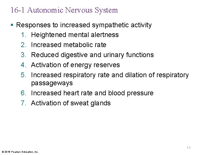 16 -1 Autonomic Nervous System § Responses to increased sympathetic activity 1. Heightened mental