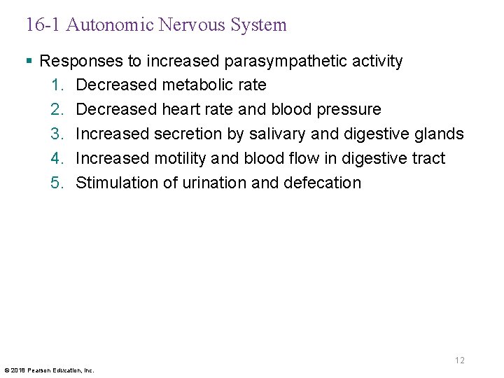 16 -1 Autonomic Nervous System § Responses to increased parasympathetic activity 1. Decreased metabolic