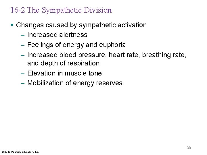 16 -2 The Sympathetic Division § Changes caused by sympathetic activation – Increased alertness