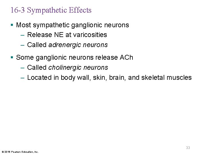 16 -3 Sympathetic Effects § Most sympathetic ganglionic neurons – Release NE at varicosities