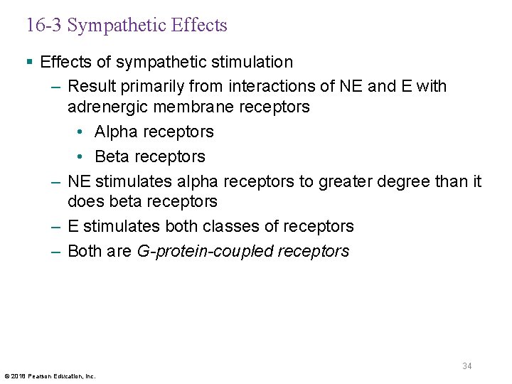 16 -3 Sympathetic Effects § Effects of sympathetic stimulation – Result primarily from interactions