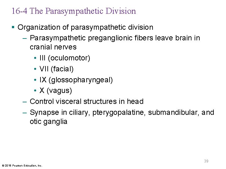 16 -4 The Parasympathetic Division § Organization of parasympathetic division – Parasympathetic preganglionic fibers