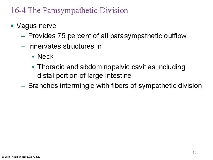 16 -4 The Parasympathetic Division § Vagus nerve – Provides 75 percent of all